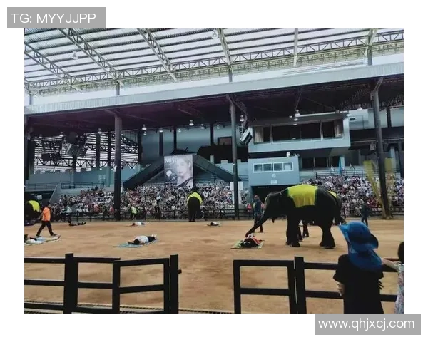 足球明星海外度假游玩探秘尽享异国风情与精彩生活